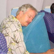 Skyrest travel 2025 pillow